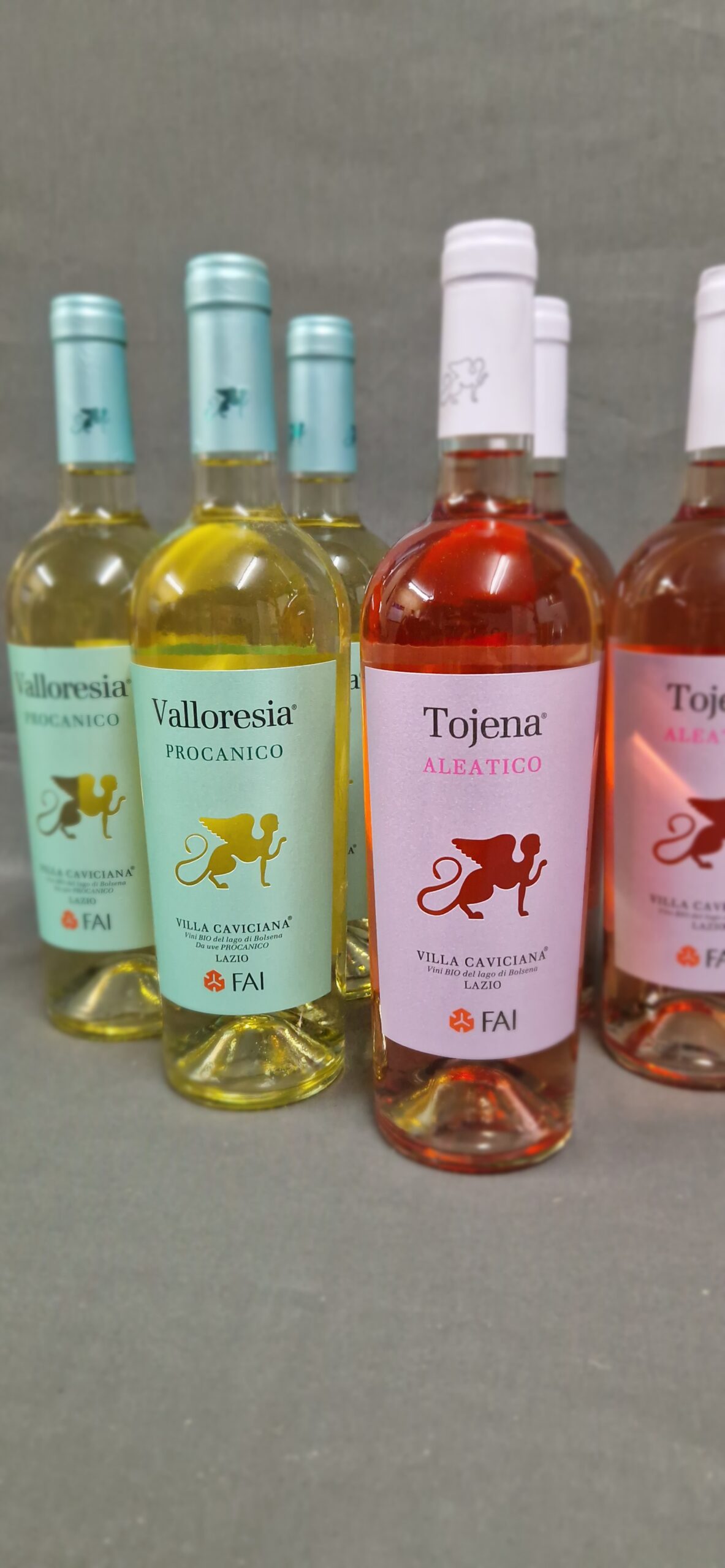 Bio-Wein Villa Caviciana