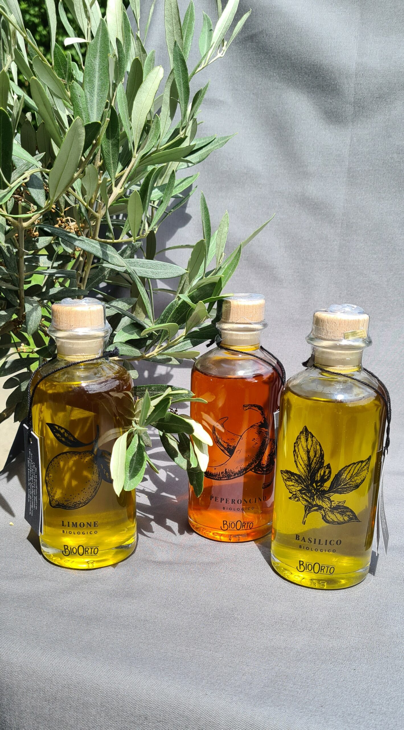 Olivenöl BioOrto